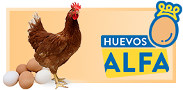 Huevos Alfa, huevos frescos